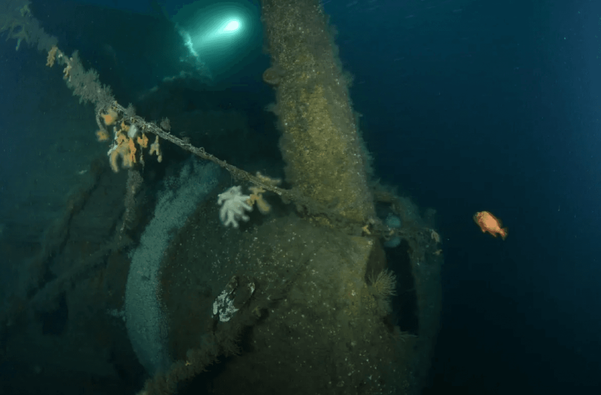 У Північному морі знайшли військовий корабель, який затонув 110 років тому  