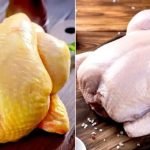 Una nutricionista explica la diferencia entre la carne de pollo amarilla y blanca que se vende en los supermercados ➤ Infotime.co