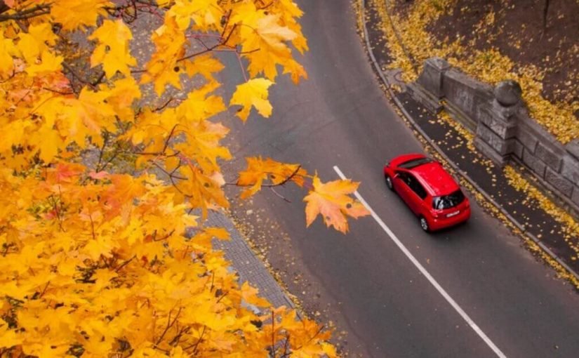 Как уберечь авто от повреждения опавшей листвой: эксперт дал советы ➤ Infotime.co