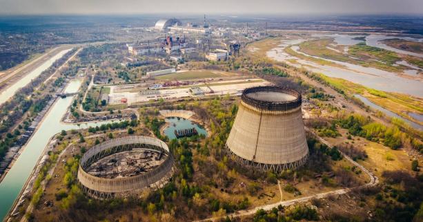 Чорнобильські жаби пристосувалися до радіації: як це стало можливим