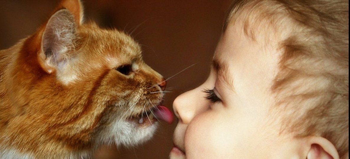 Kucing Tidak Akan Tinggalkan Bayi Sendirian – Ibu Bapa Ketahui Sebabnya