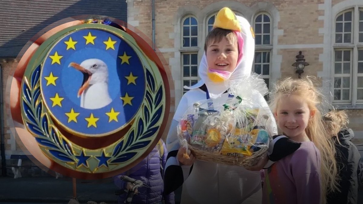 У Бельгії відгримів чемпіонат з імітації крику чайок: як пройшов незвичний конкурс ➤ Infotime.co