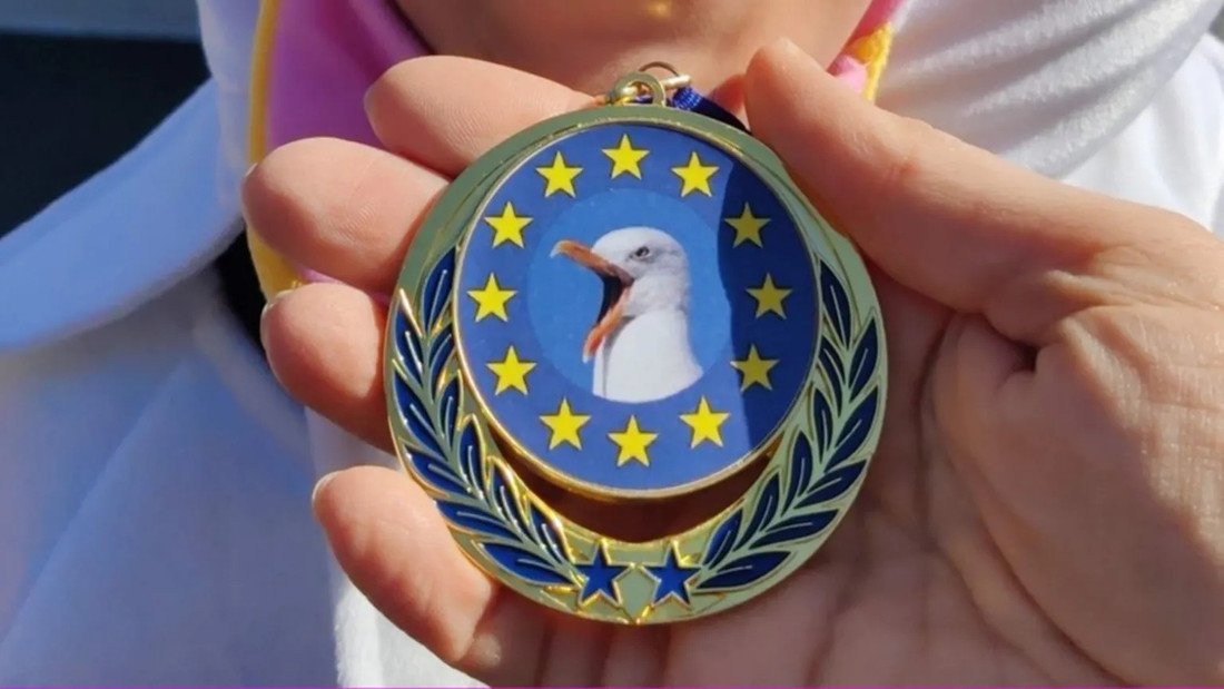 У Бельгії відгримів чемпіонат з імітації крику чайок: як пройшов незвичний конкурс