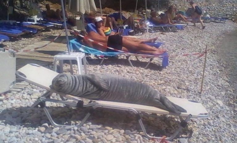 10 صور شاطئية ستضفي البهجة على يومك في ثانية واحدة