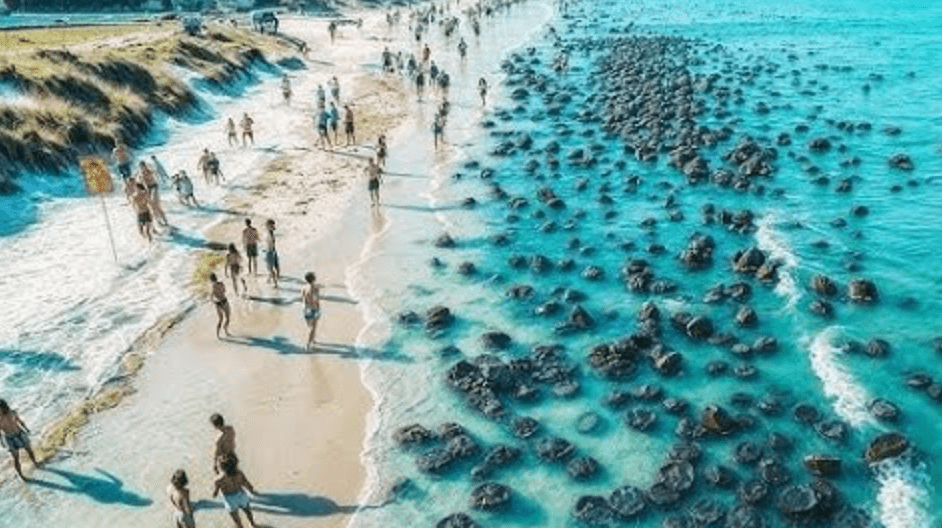 Badegäste sind oft überrascht, ungewöhnliche Objekte im Meer zu finden, und haben manchmal sogar Angst