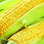 Чому не можна купувати кукурудзу на ринку та де шукати якісний продукт ➤ Infotime.co
