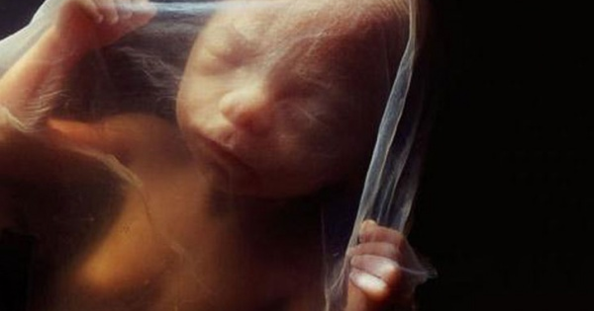 Жінка народила дитину із замороженого 30 років тому ембріона (фото)