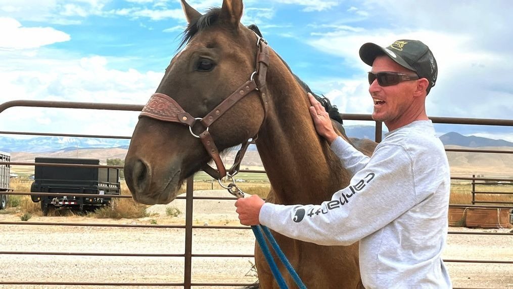 Un granjero encuentra un caballo que llevaba ocho meses desaparecido. Averigua qué le pasó