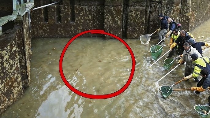 Quando o famoso Canal Saint-Martin de Paris foi drenado, o mundo descobriu os incríveis segredos escondidos sob suas águas ➤ Infotime.co