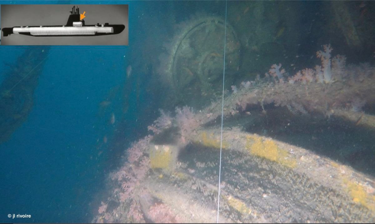 Verlassenes U-Boot aus dem Zweiten Weltkrieg im Regenwald gefunden – Polizisten erbleichen beim Anblick des Inhalts