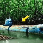 Verlassenes U-Boot aus dem Zweiten Weltkrieg im Regenwald gefunden – Polizisten erbleichen beim Anblick des Inhalts ➤ Infotime.co