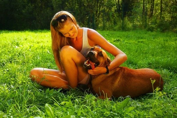 Eine Frau sieht einen streunenden Hund in ihrem Garten. Sie schreit: „Das kann nicht sein!“