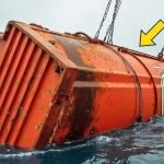 Sie dachten, es sei nur ein verlorener Container – bis sie ihn öffneten ➤ Infotime.co
