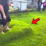 Nicht nachmachen, Kinder“: Mann entdeckte nach starkem Regen eine Wasserblase unter seinem Rasen, sprang darauf und schlug mit einem Stock darauf ➤ Infotime.co