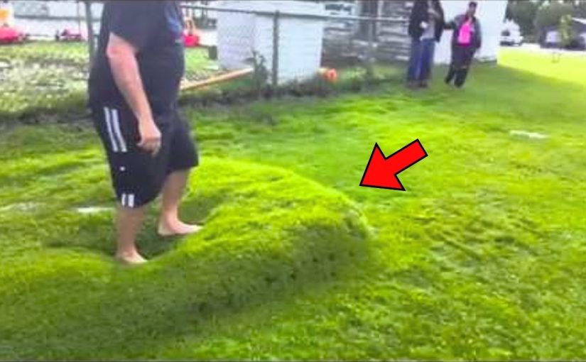 Nicht nachmachen, Kinder“: Mann entdeckte nach starkem Regen eine Wasserblase unter seinem Rasen, sprang darauf und schlug mit einem Stock darauf ➤ Infotime.co