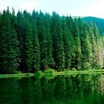 В Карпатах есть загадочное озеро, о котором не знают туристы (фото) ➤ Infotime.co