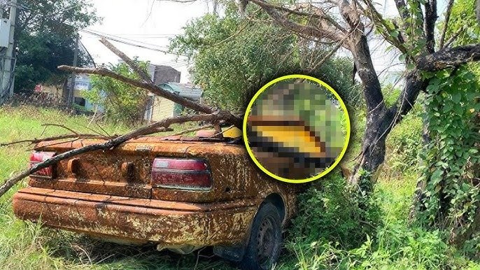 Ein Mann war 40 Jahre lang verschwunden, bis eine Frau einen alten Gebrauchtwagen kaufte