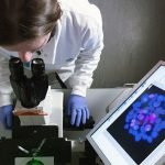 Rauchen und Bauchspeicheldrüsenkrebs: Neue Studie enthüllt gefährlichen Mechanismus ➤ Infotime.co