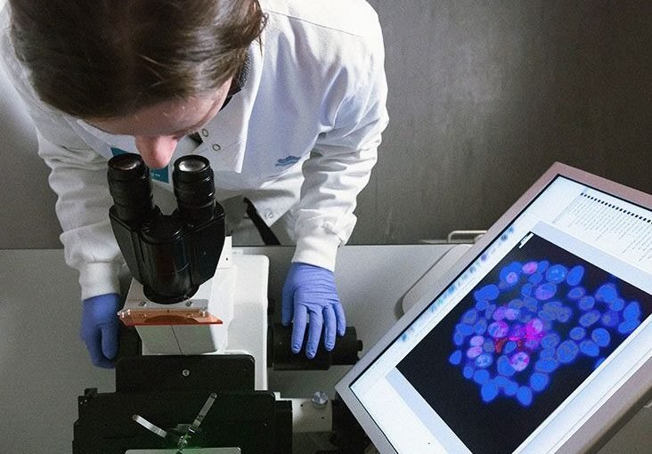 Rauchen und Bauchspeicheldrüsenkrebs: Neue Studie enthüllt gefährlichen Mechanismus ➤ Infotime.co Rauchen und Bauchspeicheldrüsenkrebs: Neue Studie enthüllt gefährlichen Mechanismus ➤ Infotime.co