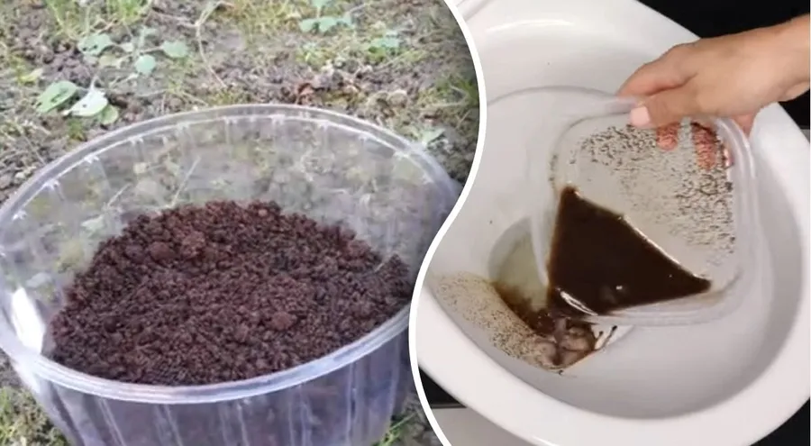 Можно ли выливать кофе в канализацию