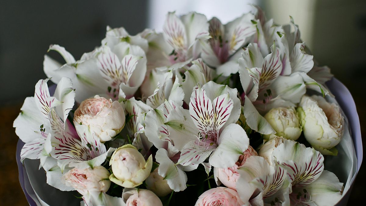 Небезпечний подарунок: які квіти краще не додавати до святкового букета