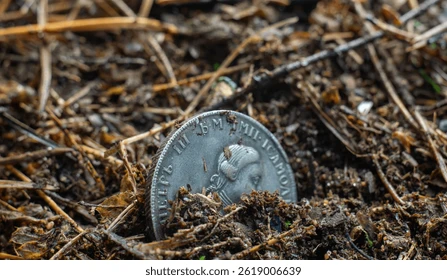 Під час польових робіт у Польщі знайшли скарб XVII століття (фото) ➤ Infotime.co