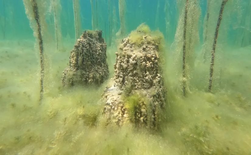 A aldeia mais antiga da Europa pode ter sido encontrada ➤ Infotime.co