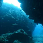 У підводній печері знайшли вимерлих істот льодовикового періоду (фото) ➤ Infotime.co