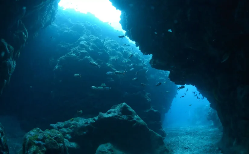 У підводній печері знайшли вимерлих істот льодовикового періоду (фото) ➤ Infotime.co