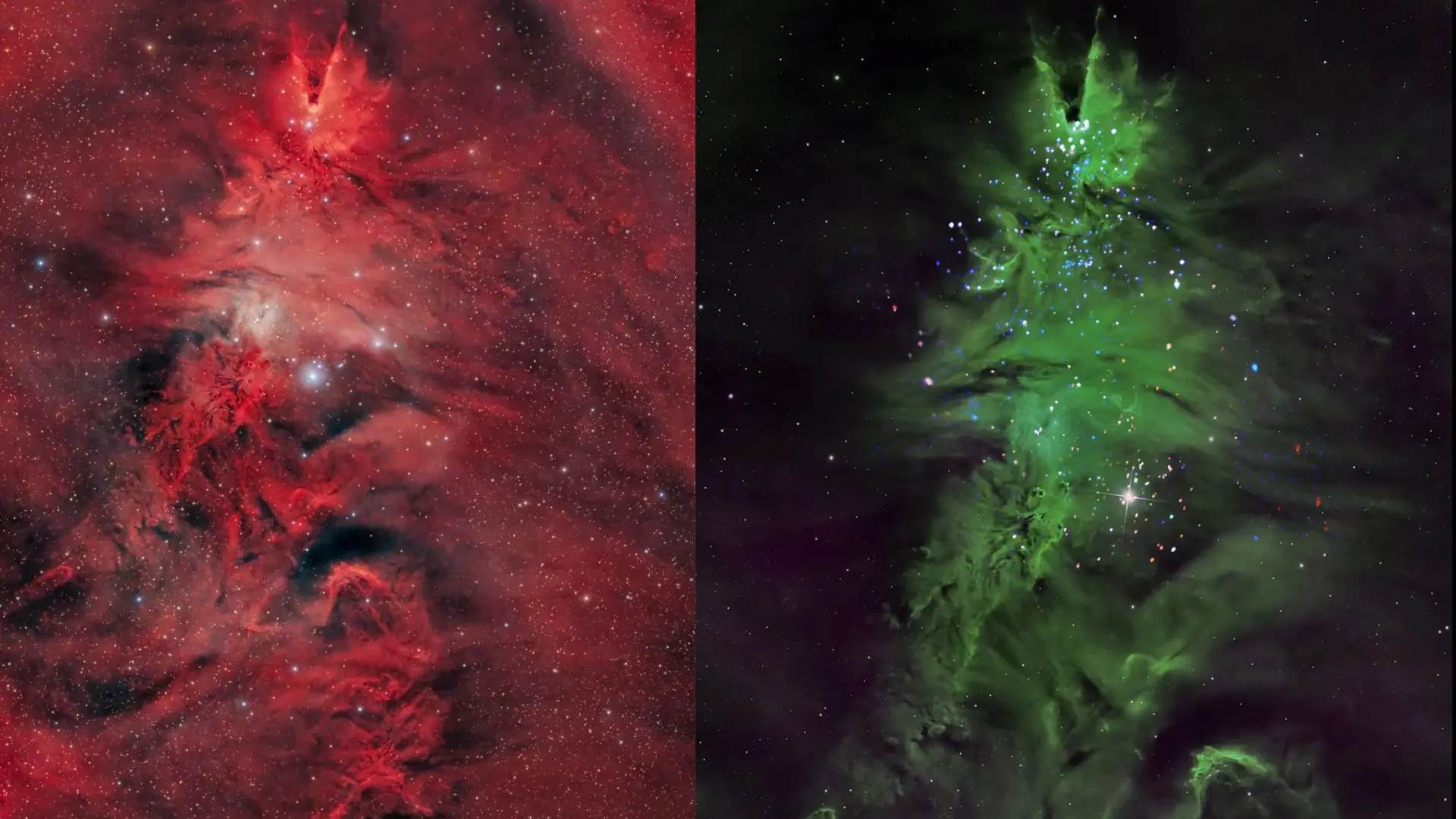 Космическая елка: астрономы показали необычное звездное скопление