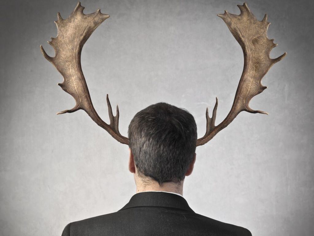 Походження вислову “наставити роги”: чому зрада асоціюється з рогами ➤ Infotime.co