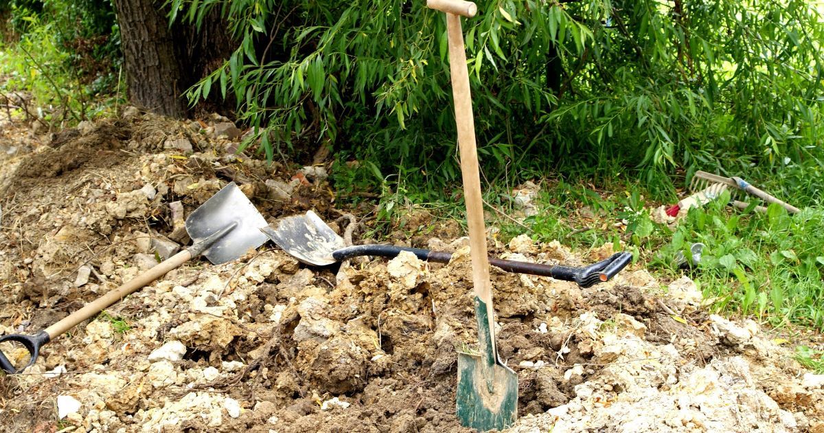 Жінка прийшла на побачення, а опинилася в могилі: що сталося