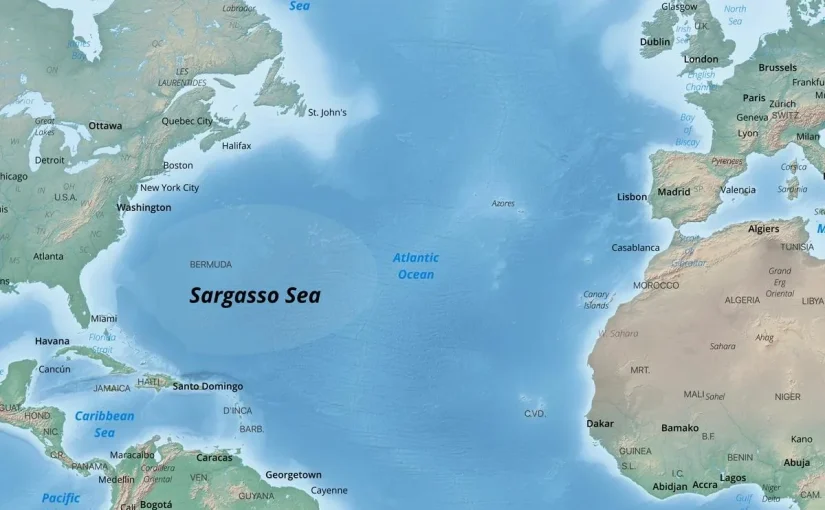 Единственное на Земле море без берегов и островов ➤ Infotime.co