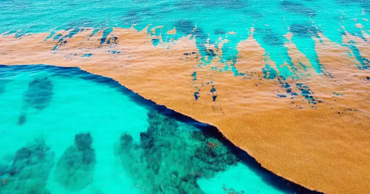 Единственное на Земле море без берегов и островов