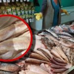 Ця риба – справжня отрута! Її досі продають в магазинах ➤ Infotime.co