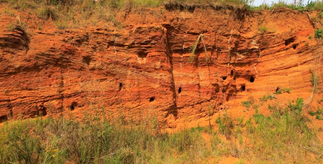 Ученые нашли огромные туннели, которые не создали люди или природа
