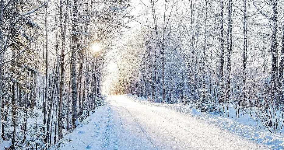 Европу накроет «зима века»: прогноз синоптиков