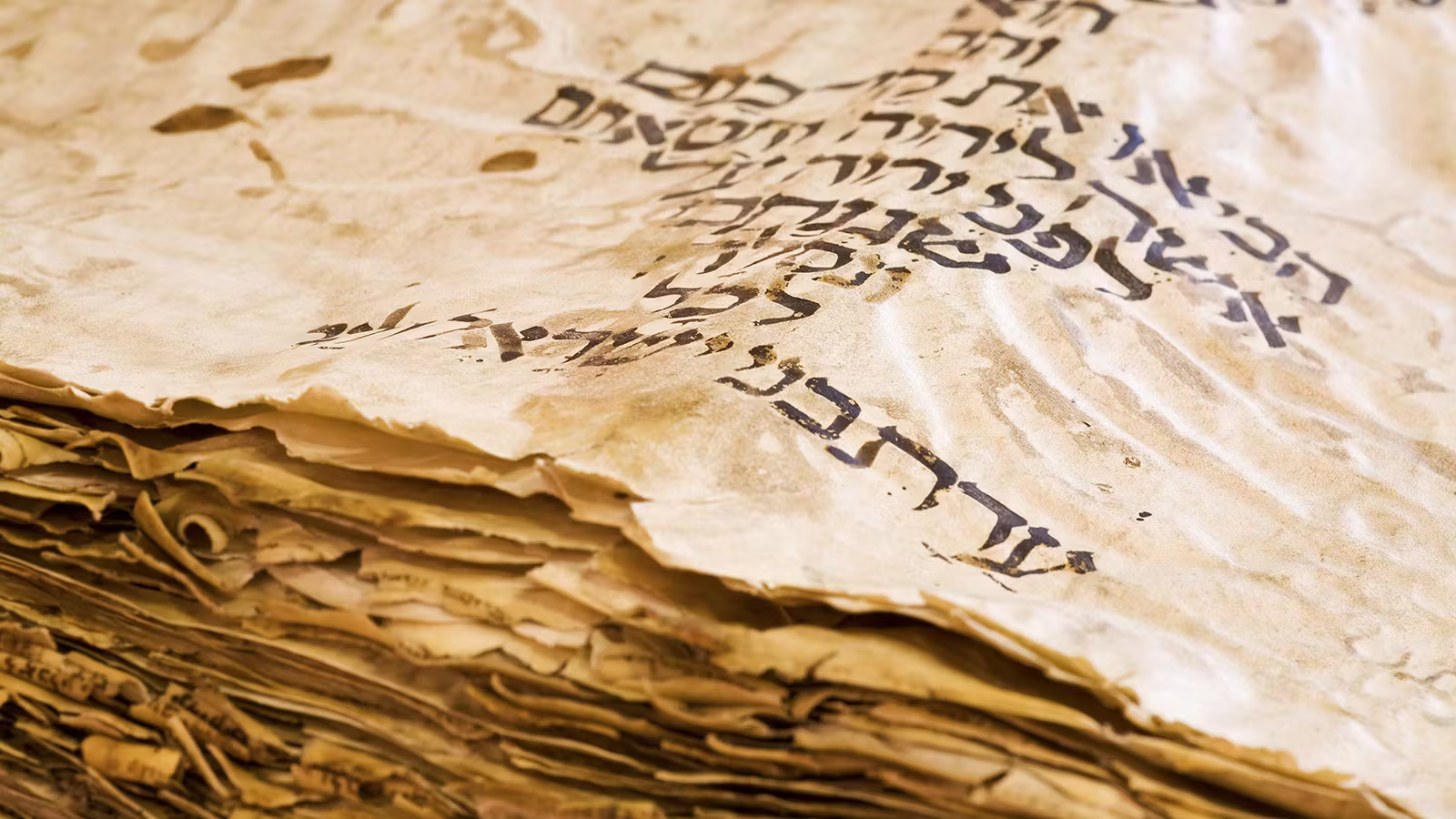 В древней Библии нашли пророчество о «завершении эпохи человечества»