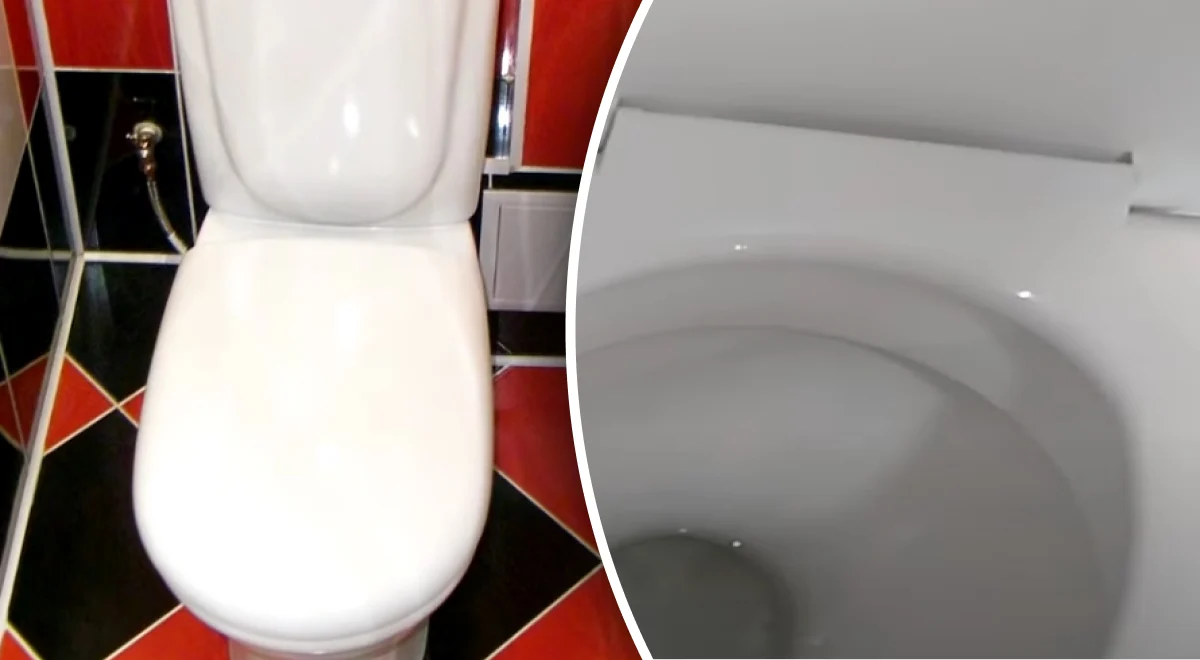 Одно простое действие поможет реже убирать в туалете