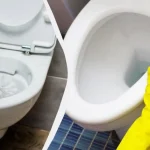 Одно простое действие поможет реже убирать в туалете ➤ Infotime.co