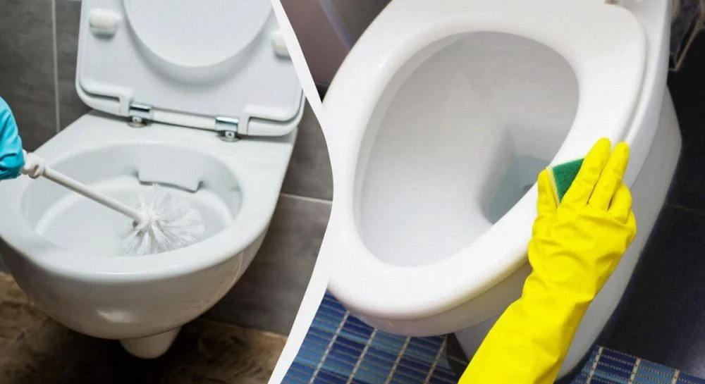 Одна проста дія допоможе рідше прибирати в туалеті ➤ Главное.net