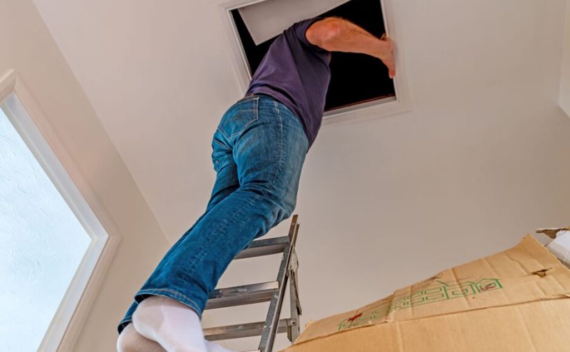 Супруги обнаружили неожиданные артефакты во время ремонта старого дома (видео) ➤ Infotime.co