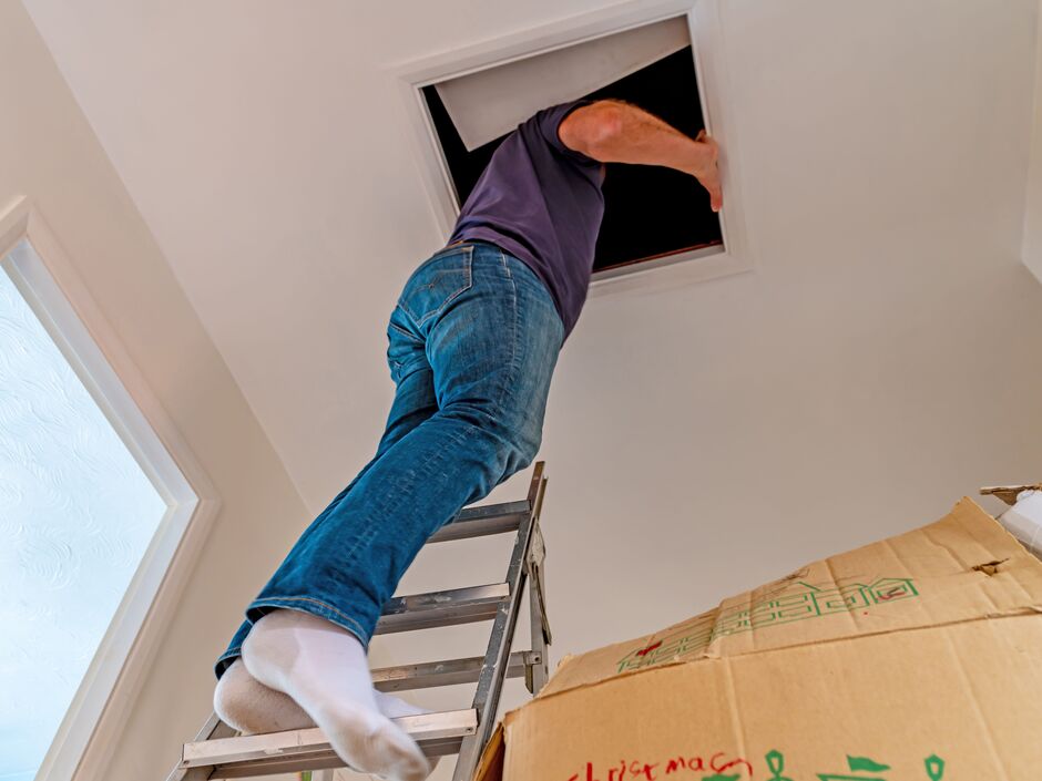 Подружжя виявило несподівані артефакти під час ремонту старого будинку (відео) ➤ Infotime.co