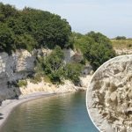 Блювотна маса риби здивувала вчених ➤ Infotime.co