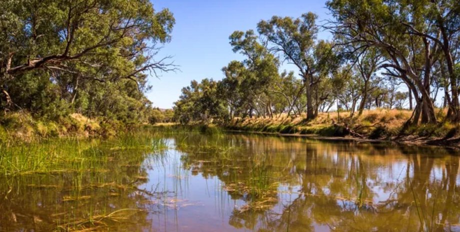 Найдавніша річка планети тече сотні мільйонів років: де вона знаходиться ➤ Главное.net