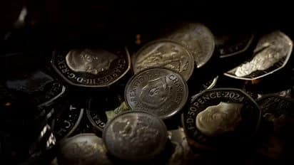 Подружжя в Англії випадково знайшло скарб Тюдорів на сотні тисяч доларів