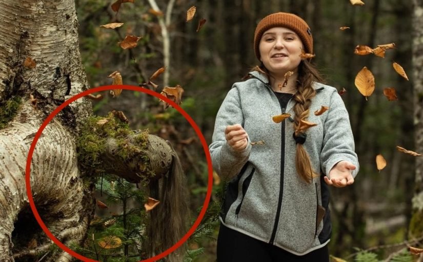Dia Mengira Itu Hanya Pohon Aneh — Sampai Hutan Menjadi Hidup ➤ Infotime.co