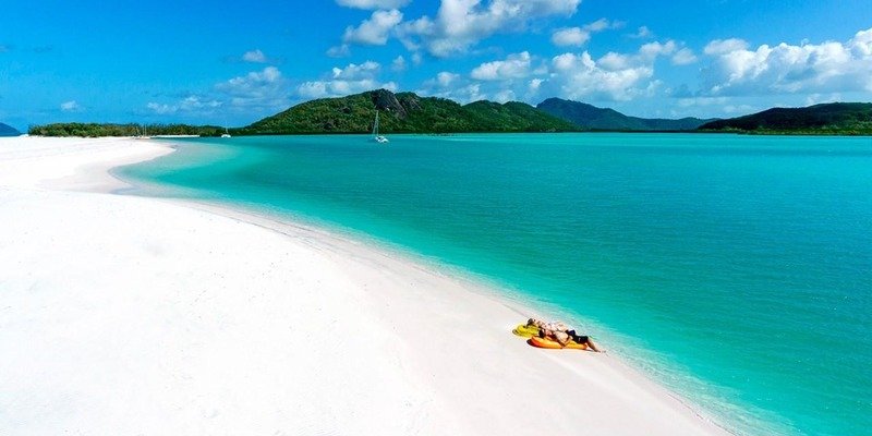 Тисячі рідкісних “монстрів” викинуло на пляж через шторм (фото)