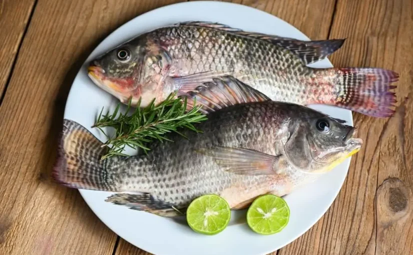 Жінка втратила кінцівки після вживання недосмаженої риби  ➤ Infotime.co