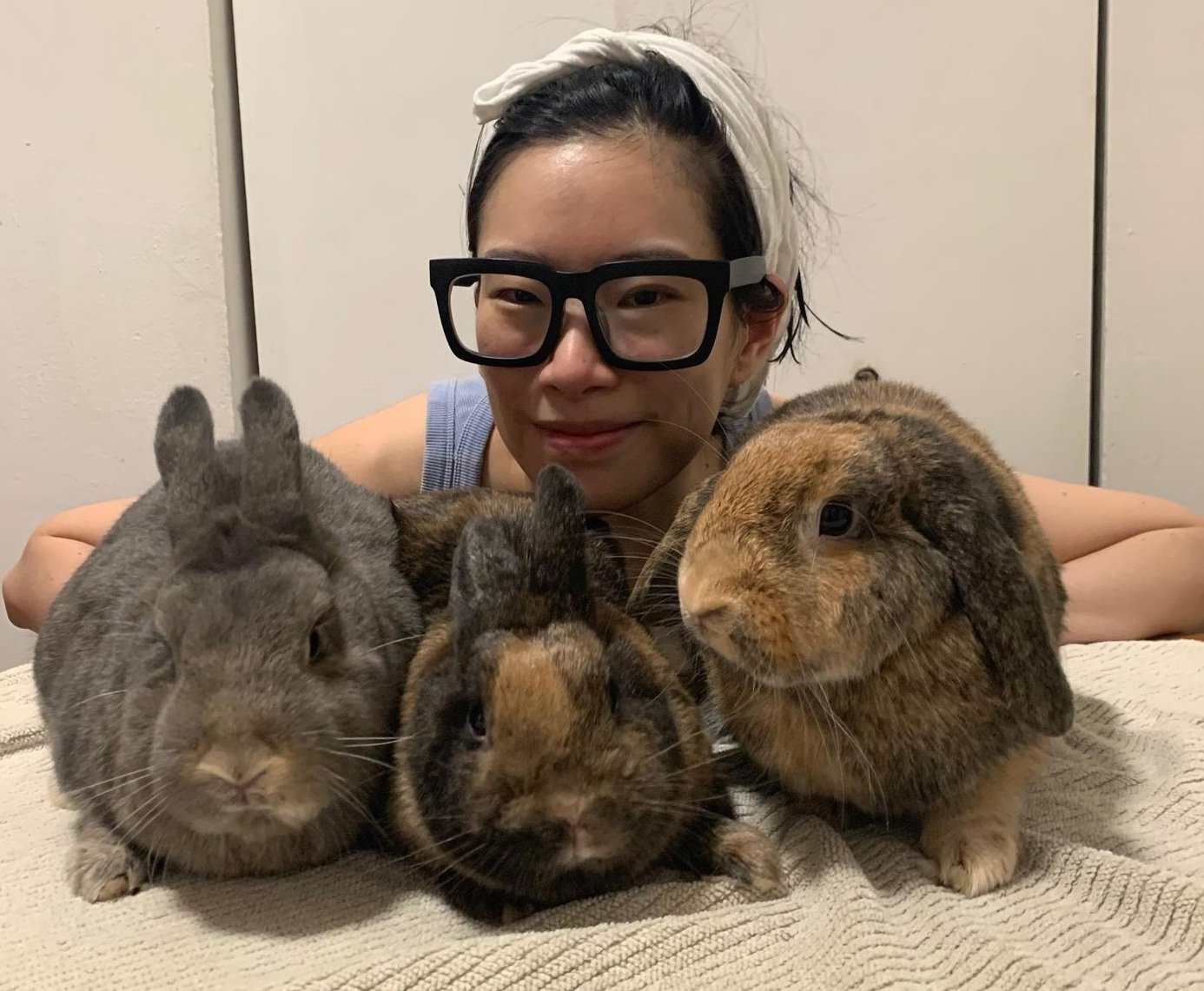 Ein fünfjähriges Mädchen glaubte, ein Kaninchen gerettet zu haben. Der Tierarzt meint, die Geschichte werde Schlagzeilen machen, wenn er sie sieht